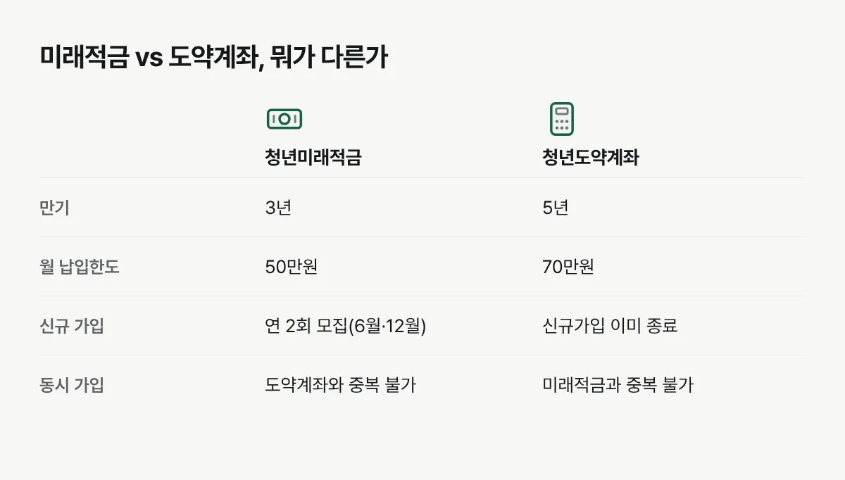 청년미래적금과 청년도약계좌를 만기, 월 납입한도, 신규가입 여부, 동시가입 가능 여부로 비교한 표